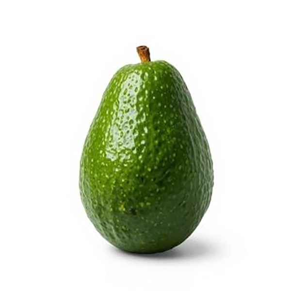 Aguacate Criollo