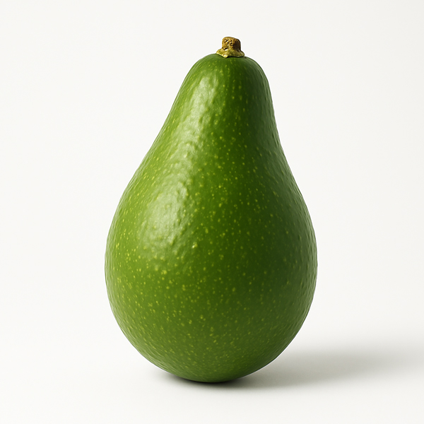 Aguacate Criollo