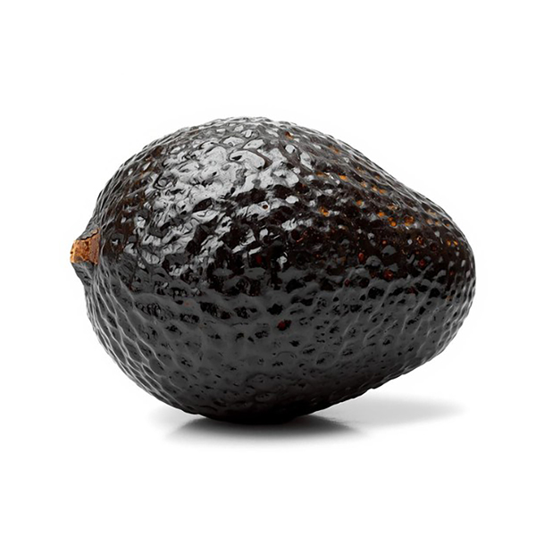Aguacate Hass
