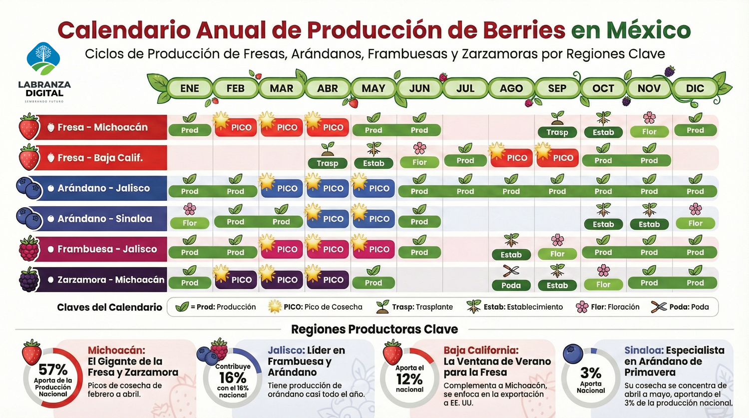 Calendario Anual Berries