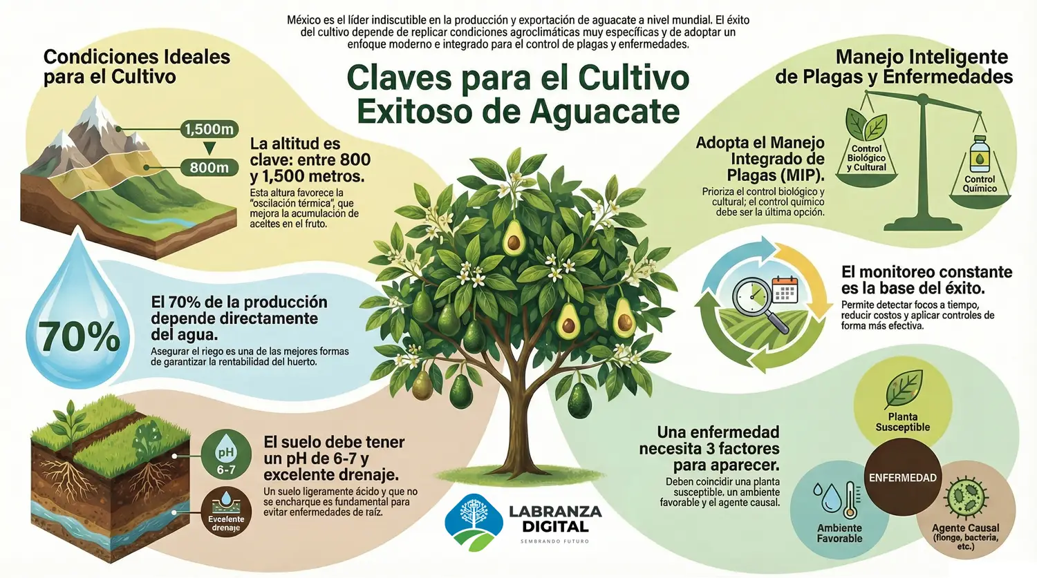 Claves Cultivo Exitoso