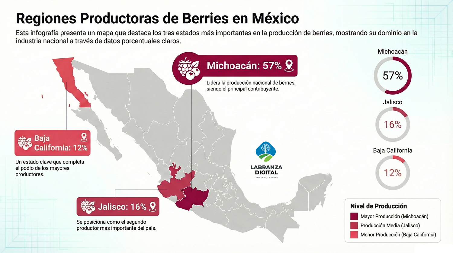 Mapa Producción Berries
